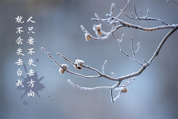 物質(zhì)是什么