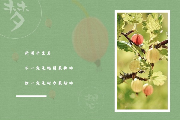南京師范大學(xué)考研輔導(dǎo)班：學(xué)科教學(xué)（英語）考研難嗎?