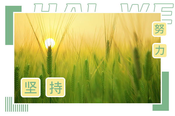 華中師范大學(xué)考研輔導(dǎo)班-華中師范大學(xué)社會(huì)工作考研難嗎?