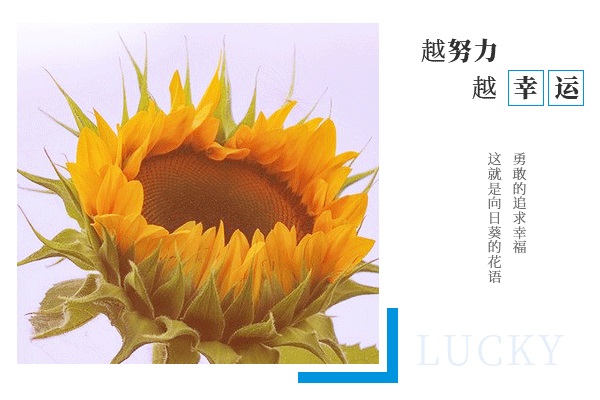 [湖南大學考研輔導班]湖南大學化學專業(yè)考研難嗎?