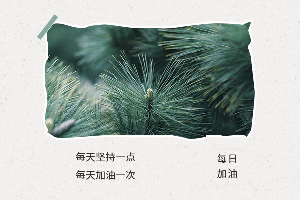中國農(nóng)業(yè)大學(xué)觀賞園藝專碩考研難嗎?