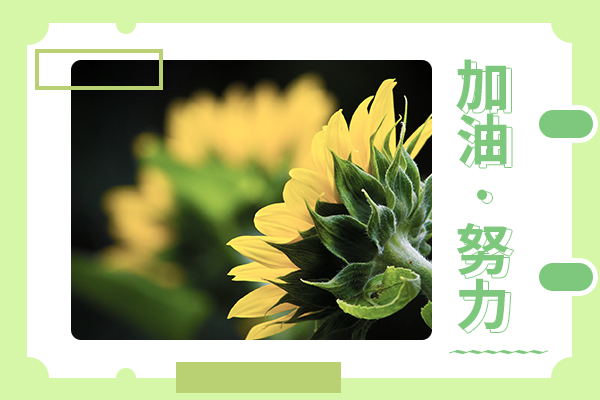 中央民族大學(xué)的社會(huì)工作專碩考研難嗎？