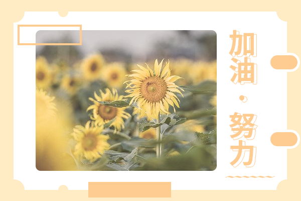 新疆大學(xué)考研輔導(dǎo)班： 化工工程與技術(shù)考研好不好考?