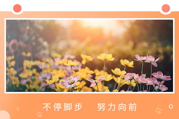 2023考研熱門985院校專業(yè)難度分析：華南理工大學