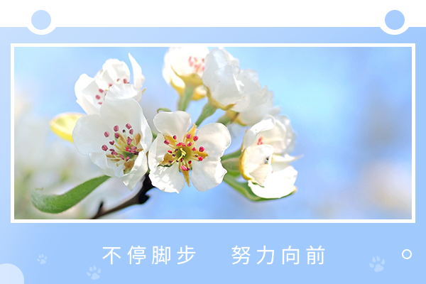 社會學考研的就業(yè)前景怎么樣？好不好？